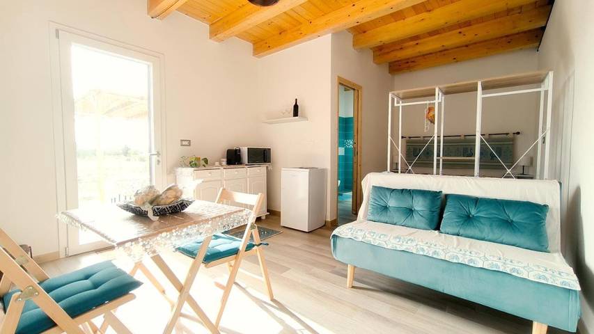 Agriturismo per 4 persone, con Terrazza e Giardino nonché Panorama a Olmedo