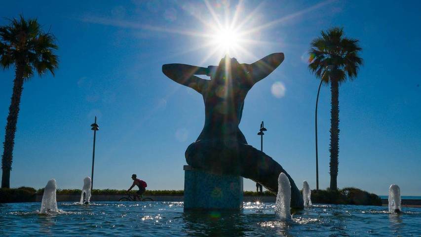 Ferienwohnung für 4 Personen, mit Haustier - 1