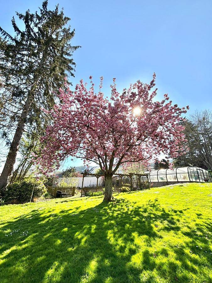 Hôtel pour 4 personnes, avec Terrasse et Jardin ainsi que Piscine et Vue à Essômes-sur-Marne - 3