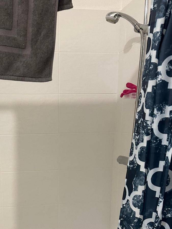 Gîte pour 3 personnes, animaux acceptés à Beynost - 4