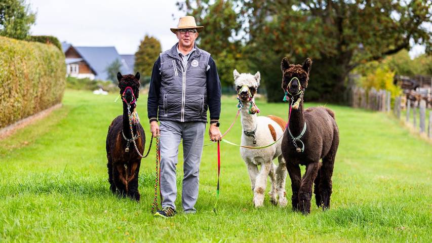 Ferienwohnung für 5 Personen, mit Haustier im Nationalpark Eifel - 2