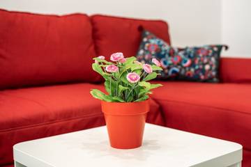 Apartment in Pollença, Serra de Tramuntana Apartment in Pollença, Serra de Tramuntana für 3