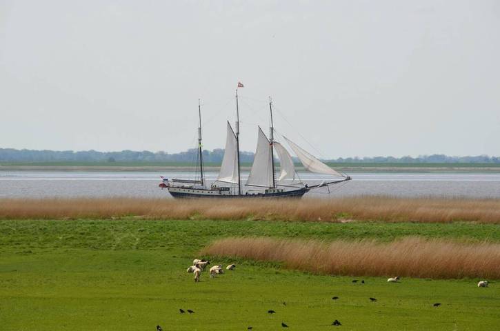Ferienwohnung für 5 Personen - 1