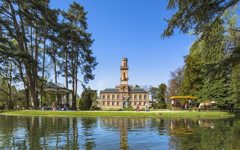 Gîte pour 3 personnes, avec vue et terrasse, animaux acceptés à Tarbes - 2
