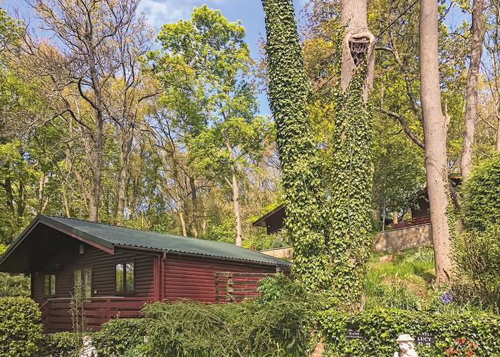Chalet for 4 people in Scotland