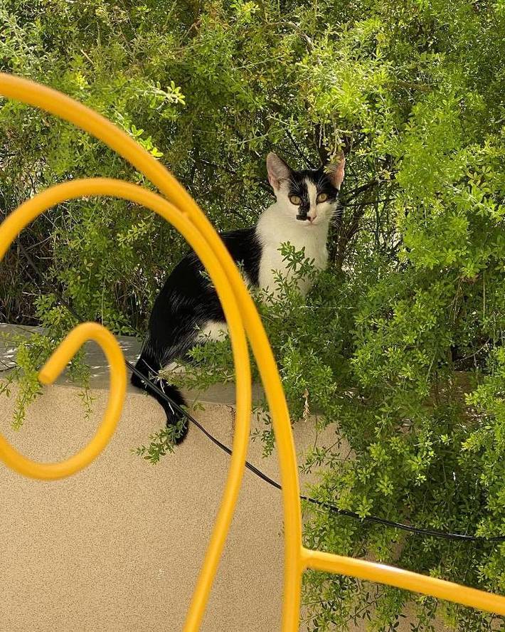 Location de vacances pour 4 personnes, avec jardin et vue à Casalbordino - 4