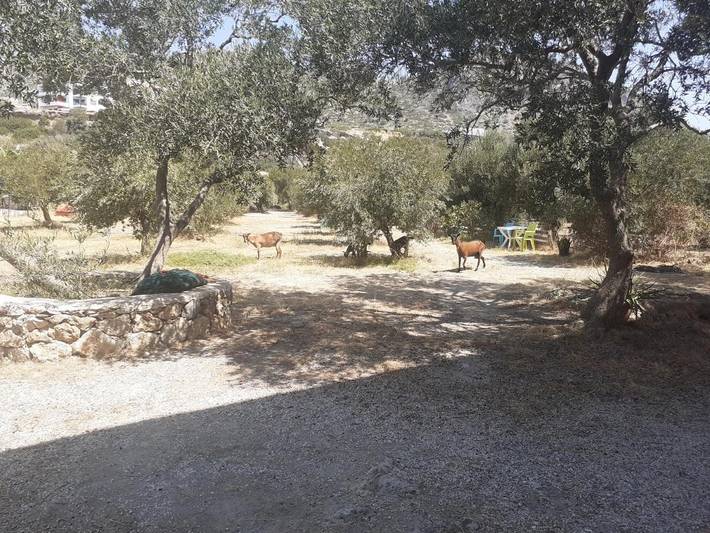 Maison d’hôte pour 2 personnes, avec vue et jardin dans Palaiochora