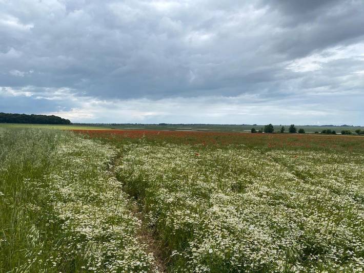 Location de vacances pour 2 personnes, avec terrasse à Bourseville - 2