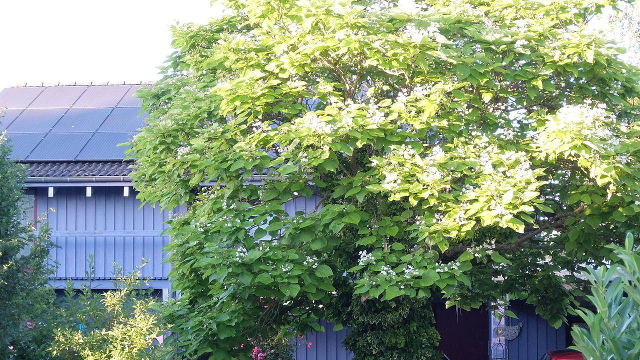 Ganze Ferienwohnung, Ferienwohnung für 4 Personen (60 m²) in Hetzerath in Hetzerath, Bernkastel-Kues & Umgebung