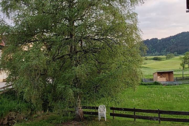 Ganze Wohnung, Appartement am Weißbach - Urlaub im Pfrontener Tal in Pfronten, Bayerisch Schwaben