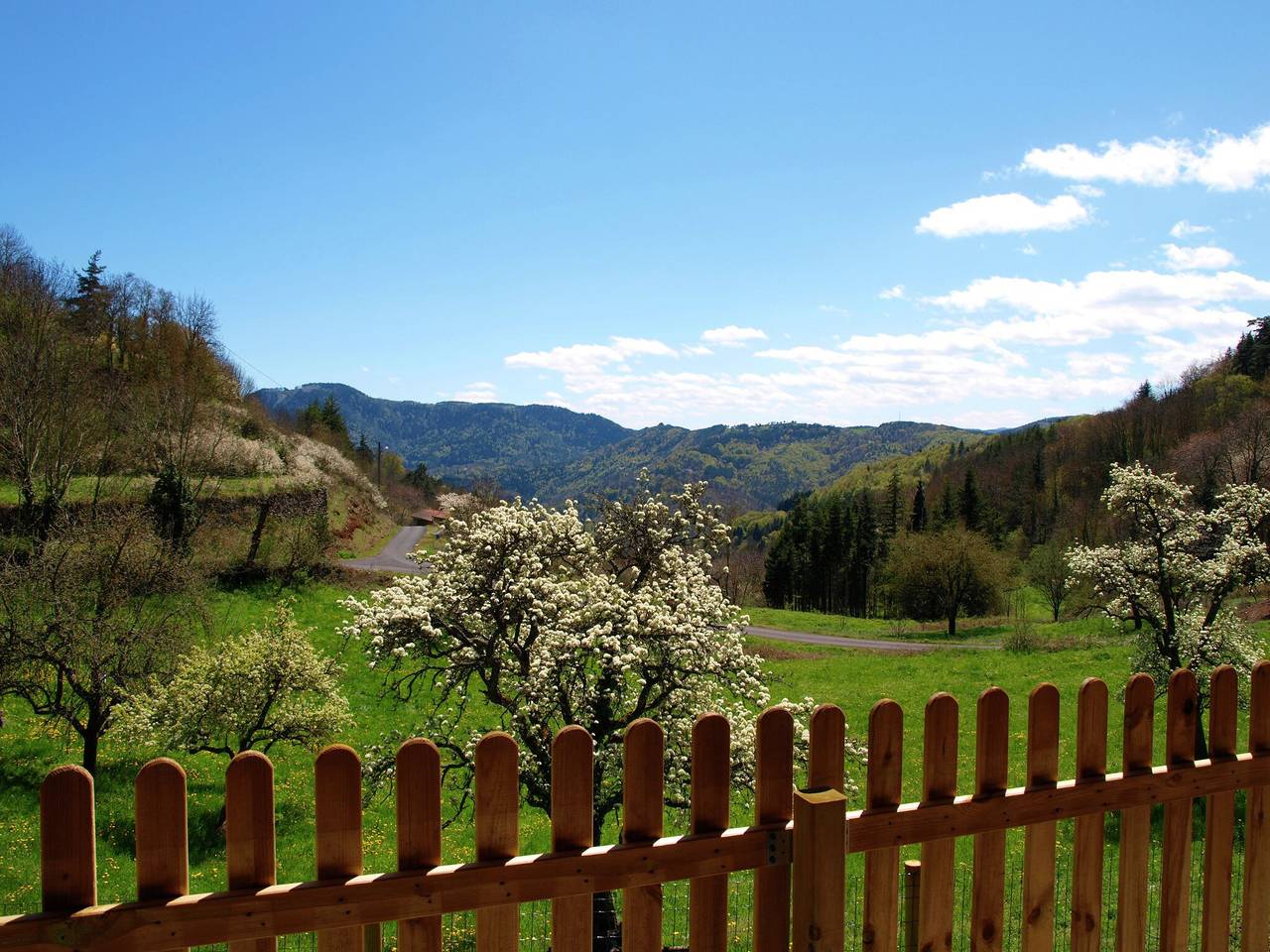 Escapade chaleureuse à la campagne en Auvergne in Saint-Privat-d'Allier, Haute-Loire