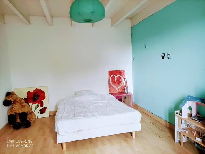 Gîte pour 2 personnes, avec vue, animaux acceptés à Elliant - 2