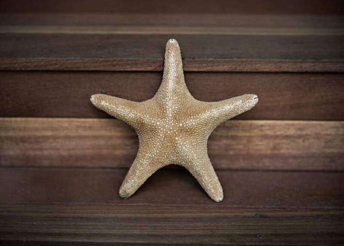 Vacation rental for 6 people, with terrace and yard in Hanalei