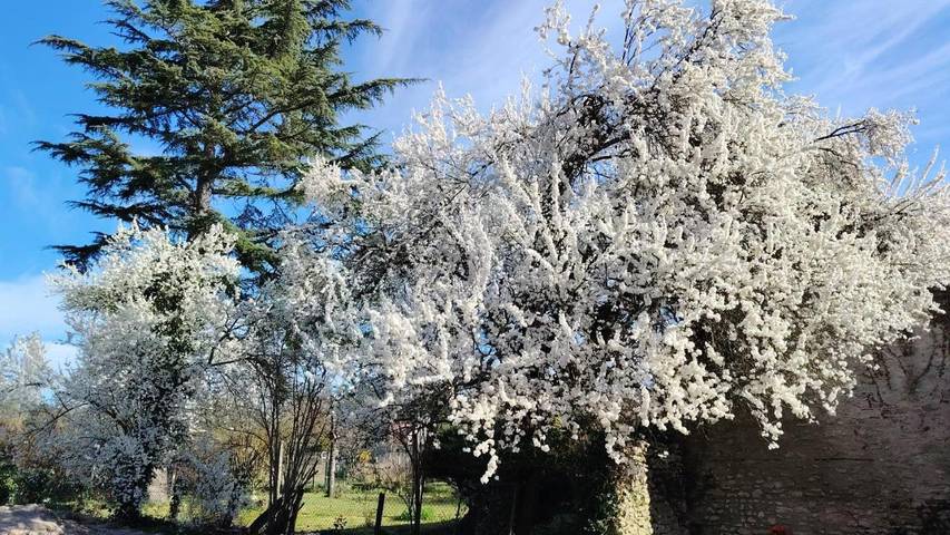 Gîte pour 3 personnes, avec piscine ainsi que jardin et terrasse à Crouy-sur-Cosson - 3