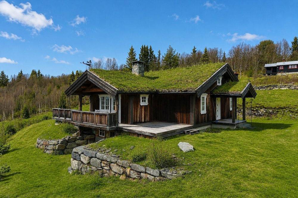Cosy mountain cabin in Golsfjellet in Gol