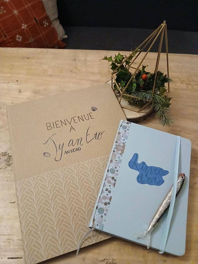 Gîte pour 2 personnes, avec vue et jardin à Plougastel-Daoulas - 3