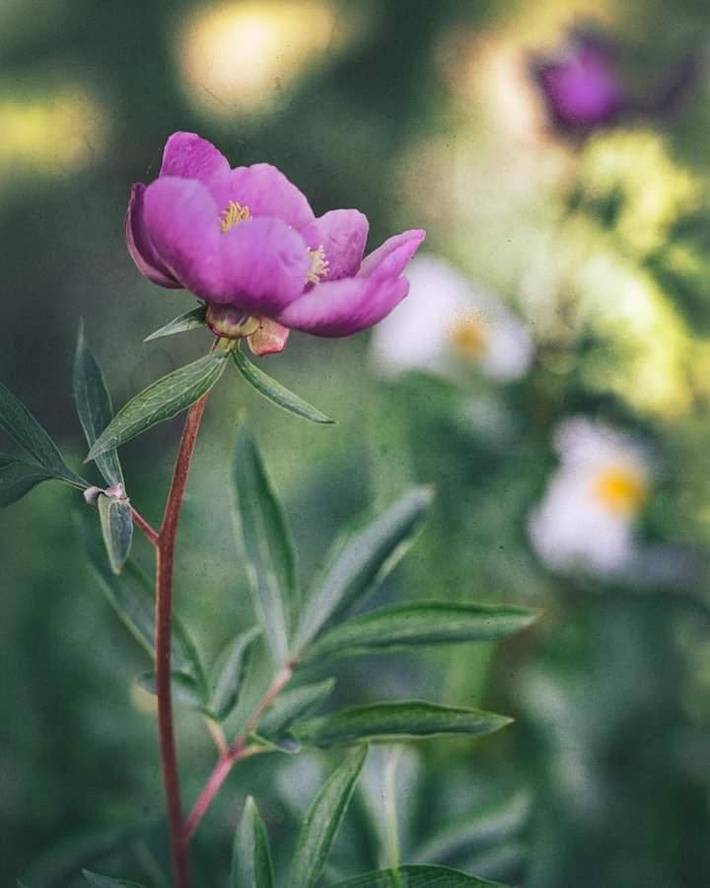 Apartamento de vacaciones para 2 personas, con balcón y vistas en Provincia de Badajoz - 4