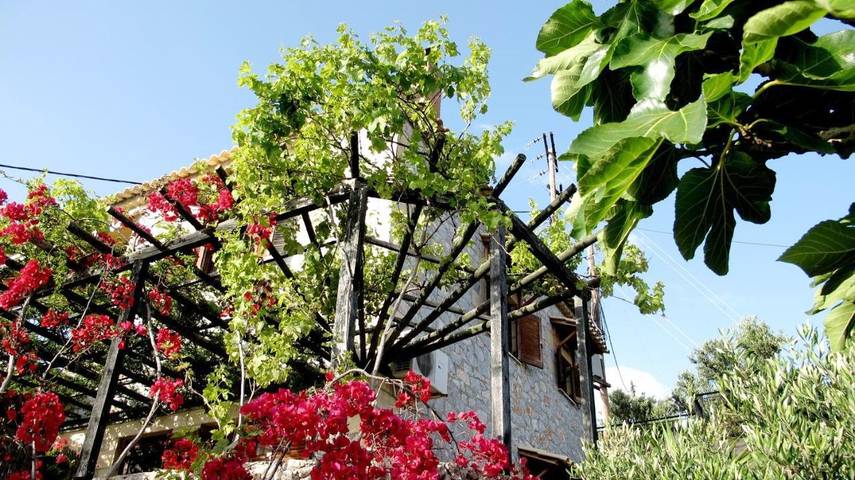 Ferienwohnung für 2 Personen, mit Ausblick und Garten - 1