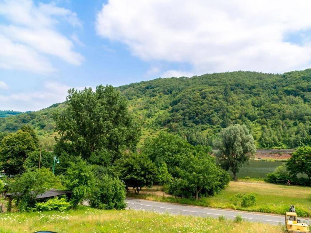 Holiday apartment Moselle valley in Sankt Aldegund, Traben-Trarbach und Umbegung