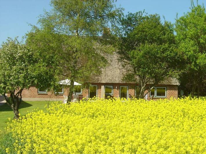 Ferienhaus für 4 Personen, mit Sauna und Terrasse, mit Haustier an der Ostsee - 3