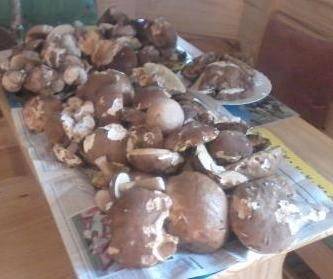 Location de vacances pour 8 personnes, avec jardin, animaux acceptés à Le Soulié - 3