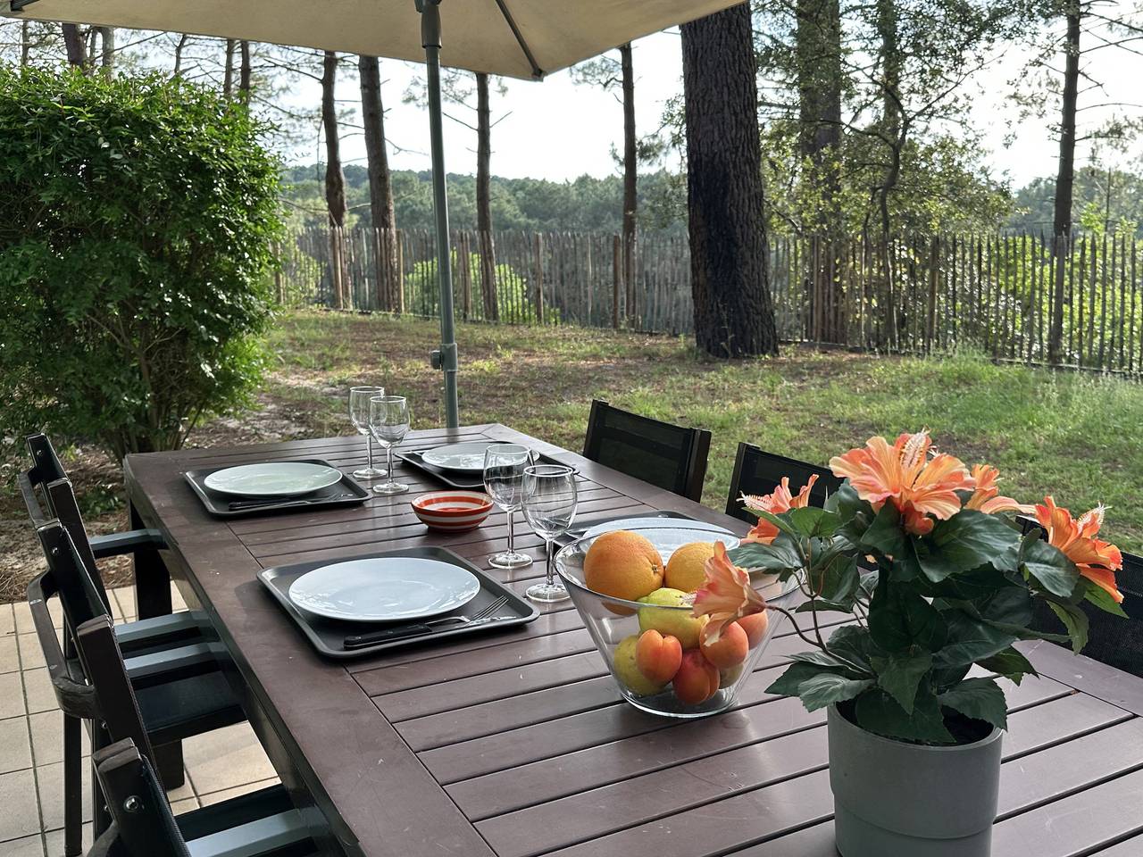 Muscadelle 3 in Lacanau Ocean, Lacanau