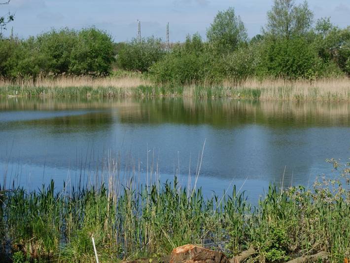 Ferienwohnung für 2 Personen, mit Garten in Bergen auf Rügen - 4