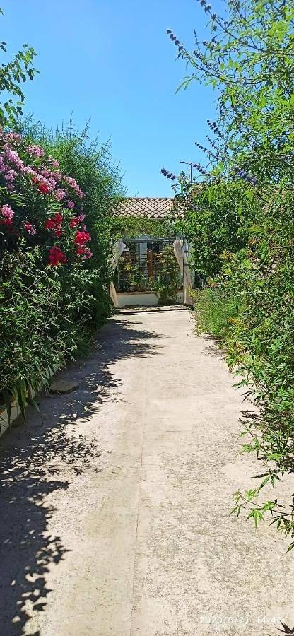 Gîte pour 4 personnes, avec piscine et jardin à Valergues - 3