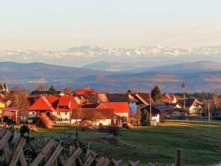 Ferienhaus für 10 Personen, mit Sauna und Terrasse sowie Garten, mit Haustier im Schwarzwald - 3