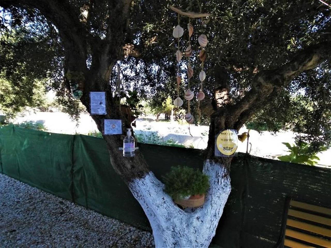 Ganze Wohnung, Wohnungen mit Meerblick in Ferma, Lasithi