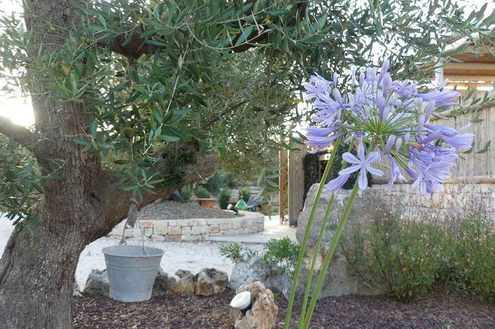 Trullo manivida Mulberry in Locorotondo, Province de Bari