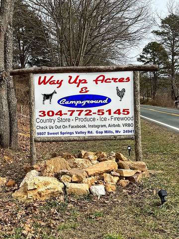 Camping for 4 Guests in Blue Ridge Mountains, Picture 1