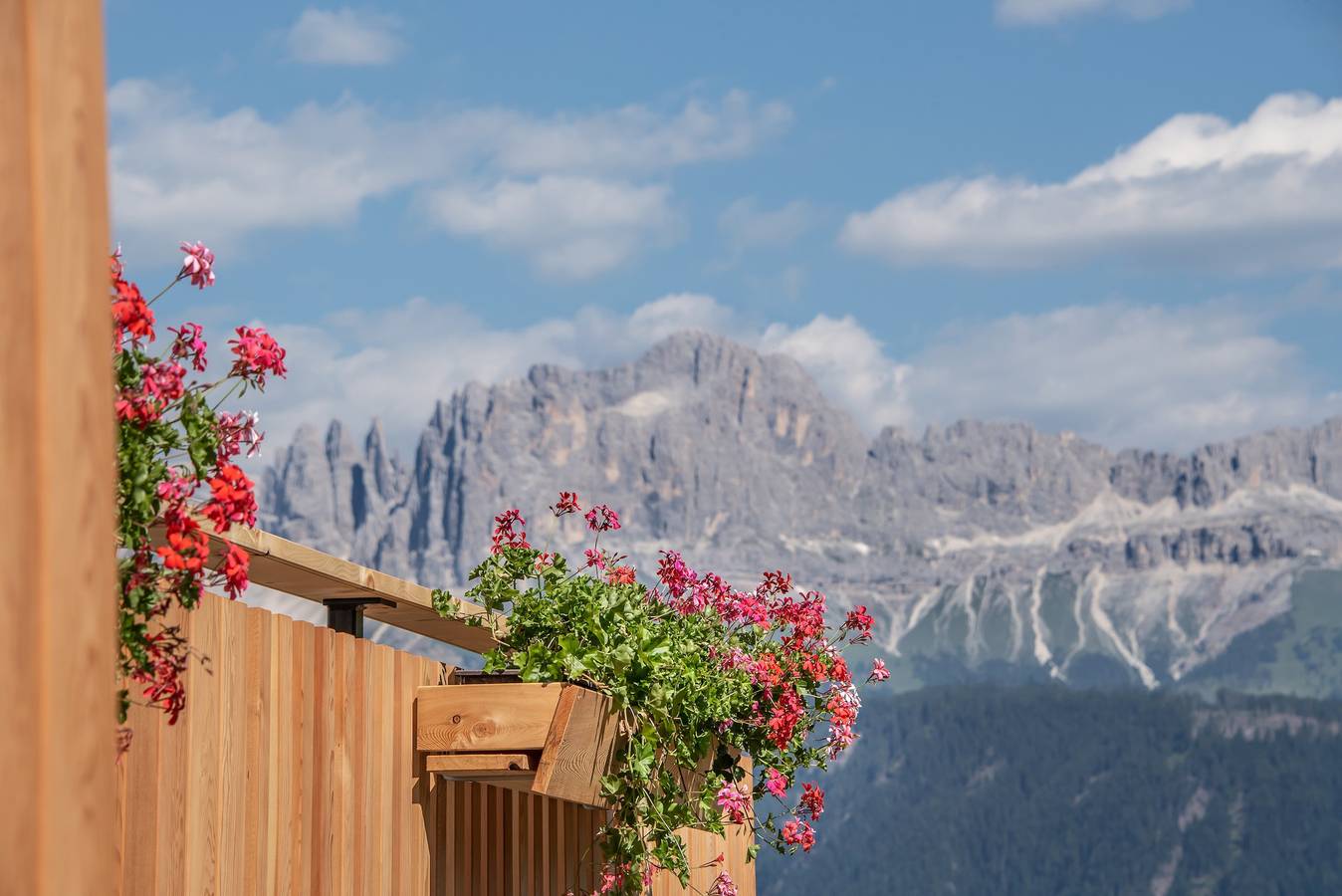 Appartamento vacanze a Dolomiti a partire da 155€ a notte
