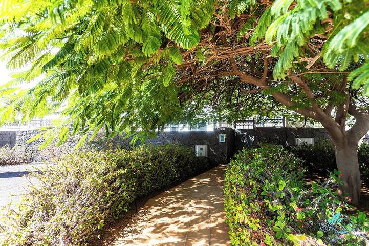 Ganze Wohnung, Studio Apartment Kleines Gebäude mit 6 Apartments, nur wenige Schritte von Marina Rubicon in Playa Blanca, Yaiza