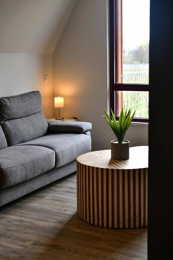 Gîte pour 2 personnes, avec vue, animaux acceptés à Kientzheim - 2