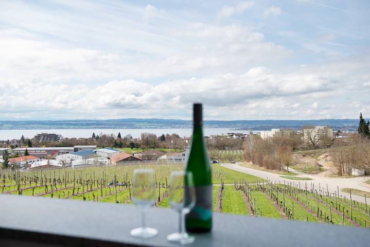 Ganze Wohnung, Ferienwohnung '4 Zimmer Ferienwohnung Strobel' mit Gemeinschaftsgarten, Balkon und Wlan in Meersburg, Region Bodensee-Oberschwaben