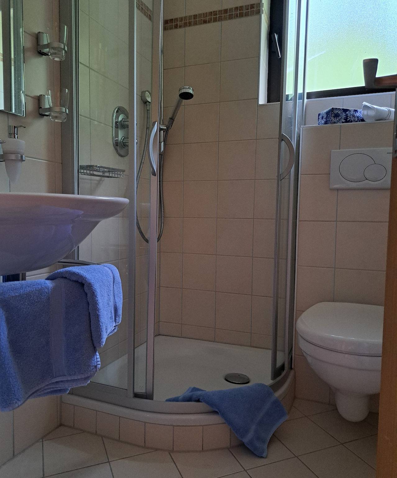 Ganze Wohnung, Waldhaus Flammersberger - Ferienhaus in Spiegelau, Ostbayern