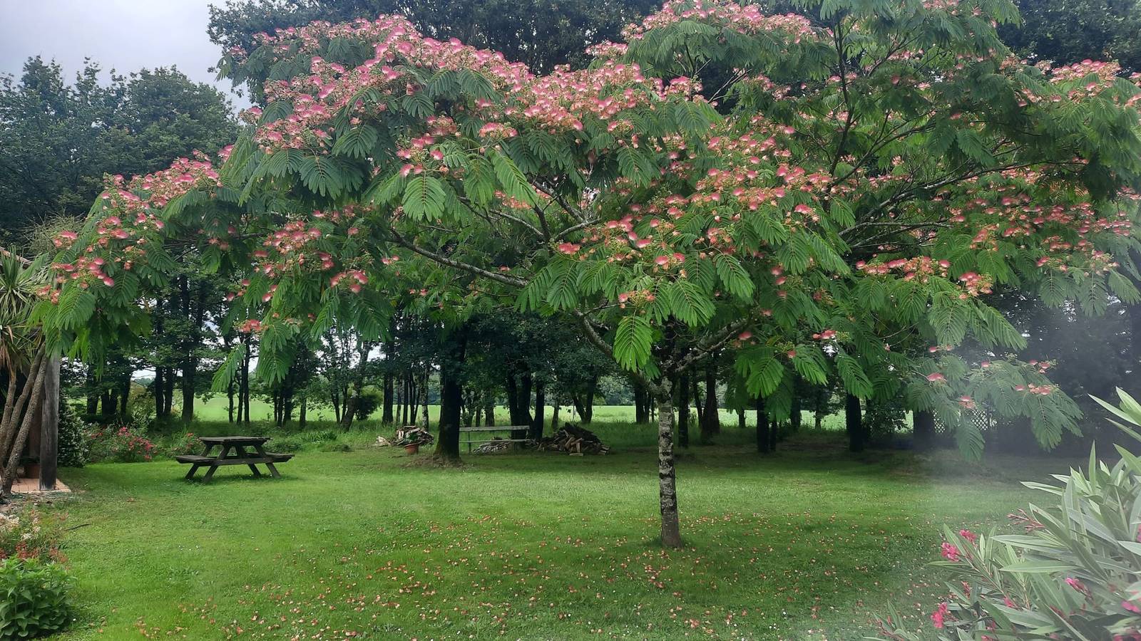 Trouilh - La Chambre Cosy in Saint-Maurice-sur-Adour, Landes