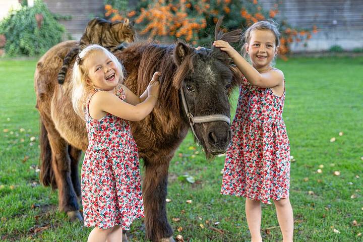 Ferienhaus für 5 Personen, mit Garten, kinderfreundlich in Passauer Land - 4