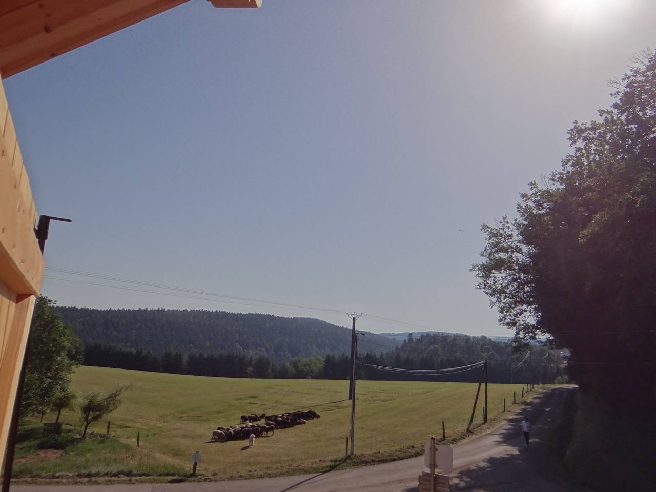 Chalet des 4 Vents: Nature et Activités Vosges in Girmont-Val-d'Ajol, Parc naturel régional des Ballons des Vosges