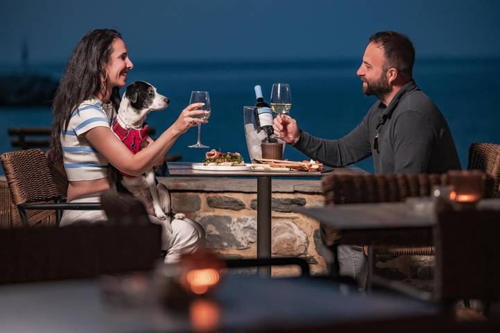Hôtel pour 2 personnes, avec piscine ainsi que vue et jardin dans Agios Ioannis (Zagora–Mouresi) - 2