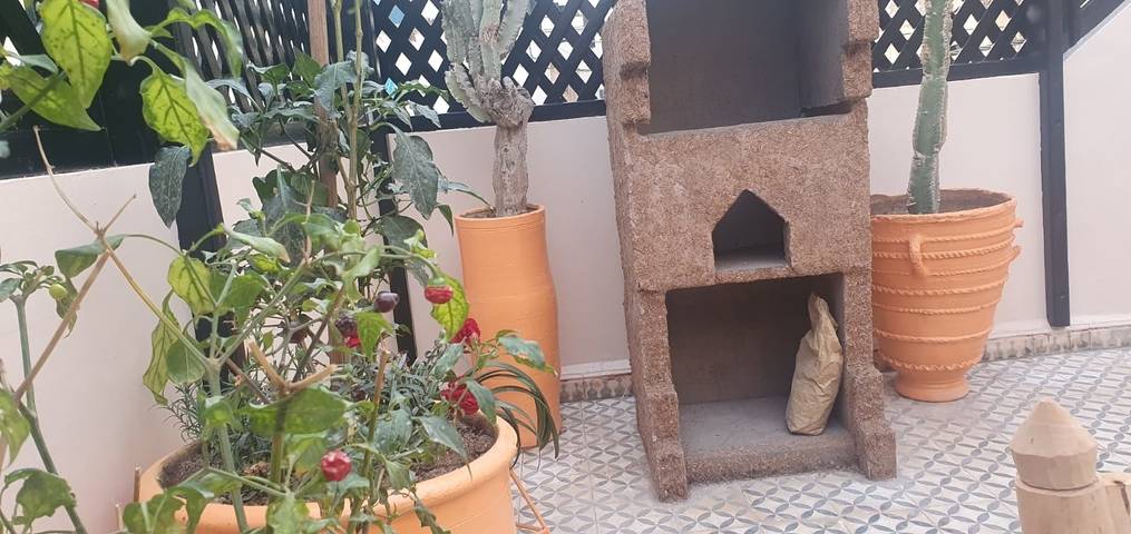 Location de vacances pour 5 personnes, avec vue et terrasse à Taghazout (village) - 3