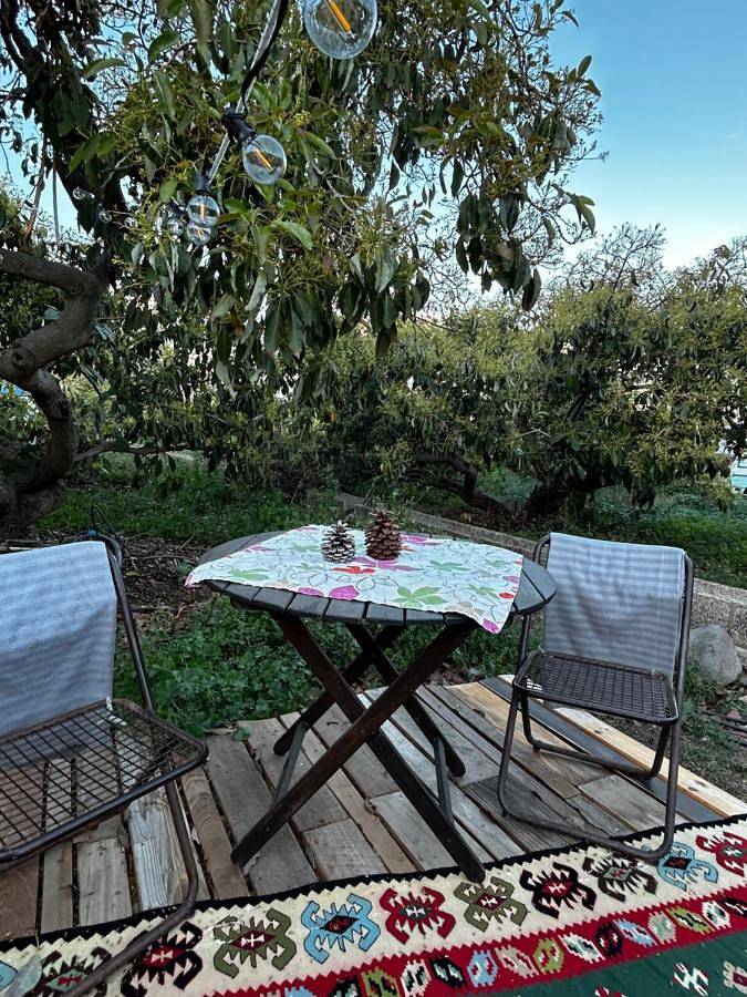 Tent in Güímar, Tenerife Sur