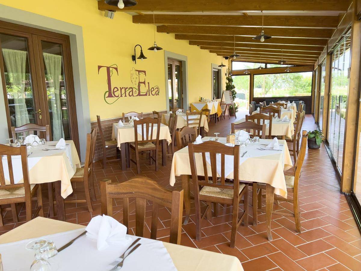 Agriturismo Terra Di Elea azienda agricola di Raimondo Michela in Ascea, Cilento Coast