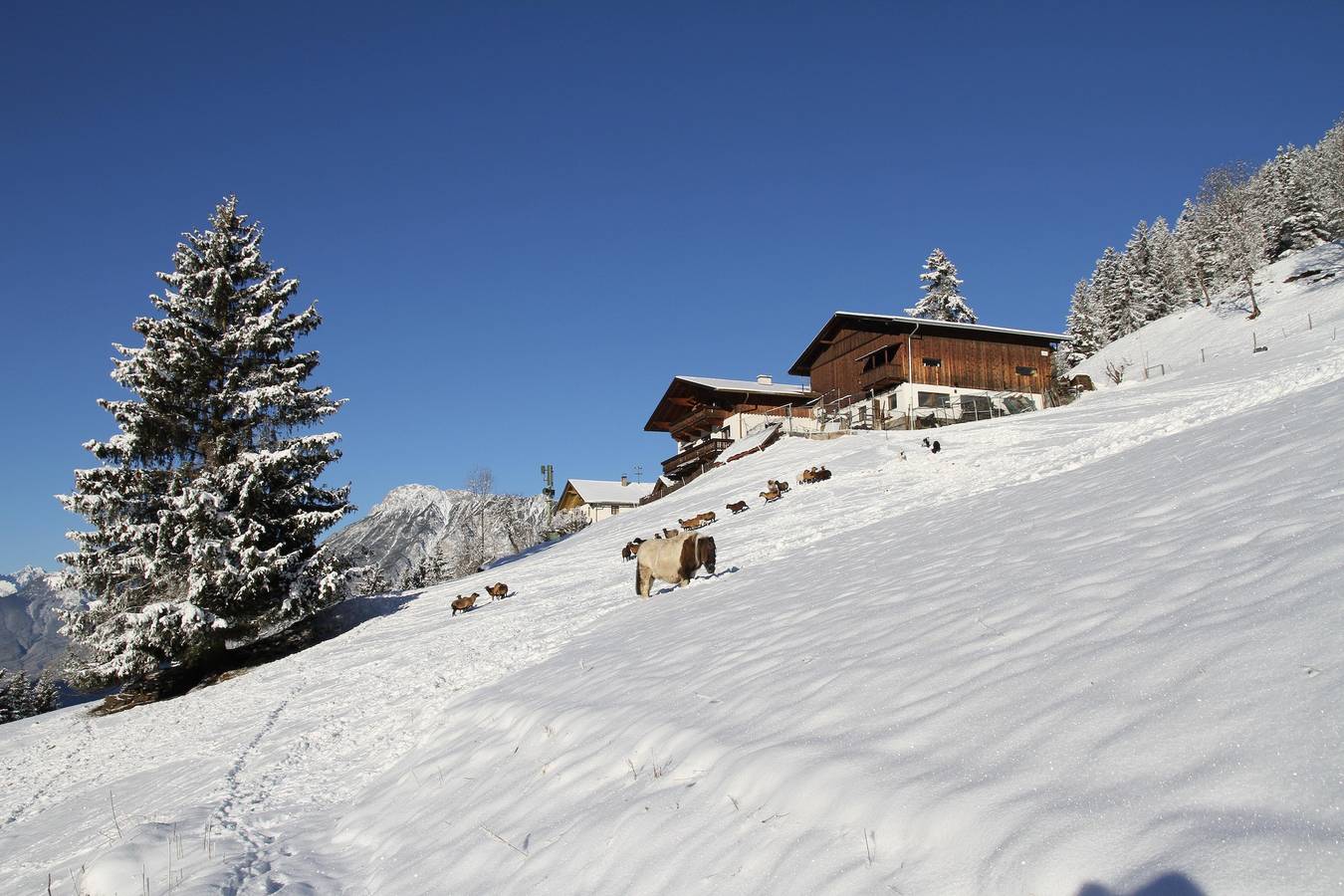 Ganze Ferienwohnung, Top 2 in Oetz, Ötztal