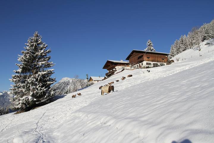 Ferienwohnung für 5 Personen, mit Garten in Oetz - 3