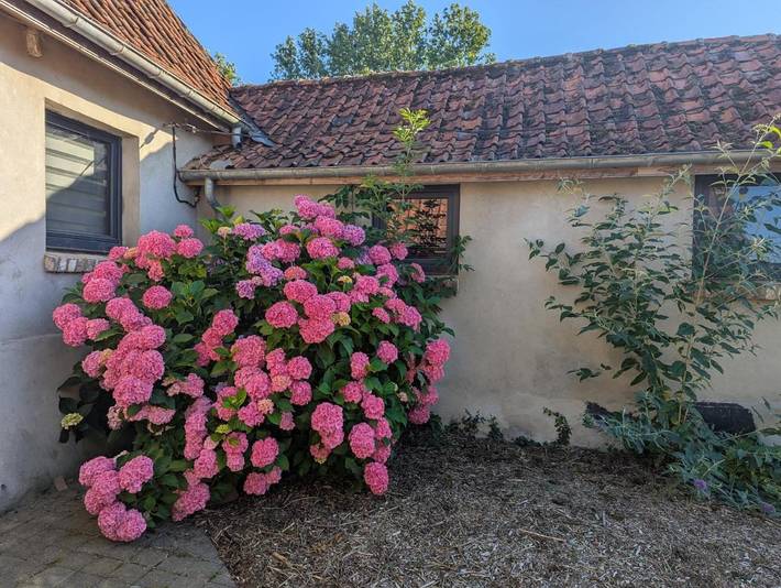 Location de vacances pour 5 personnes, avec vue et jardin à Beaurainville - 2