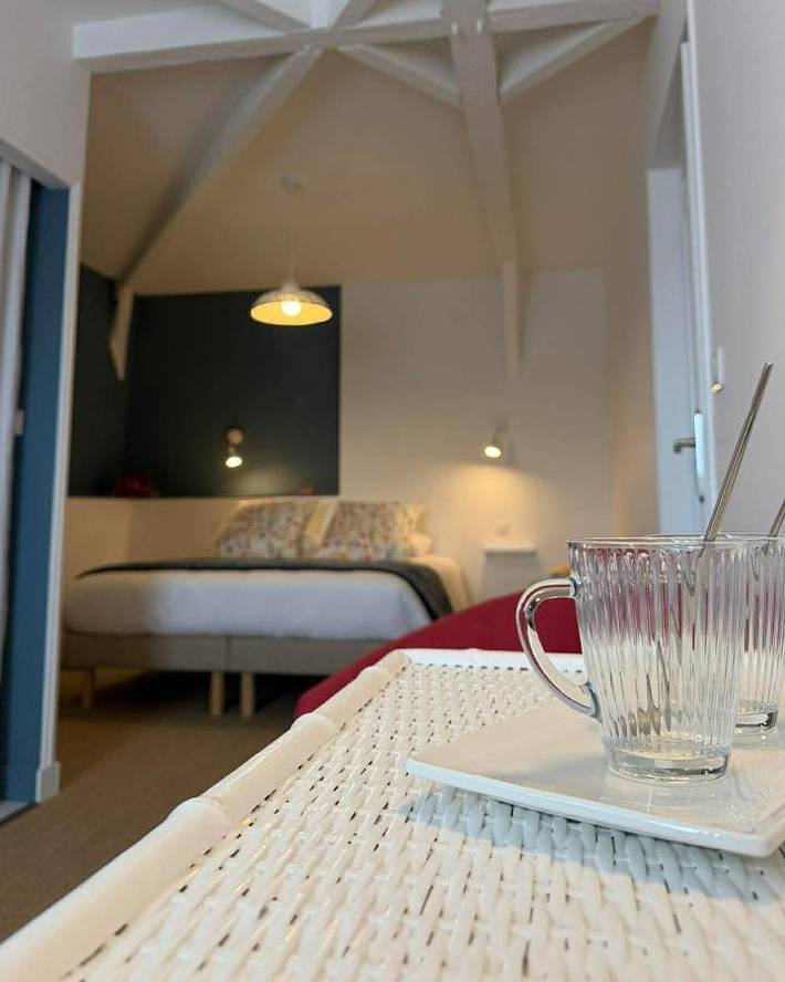 Chambre d’hôte pour 2 personnes, avec vue et jardin à Mauléon - 3