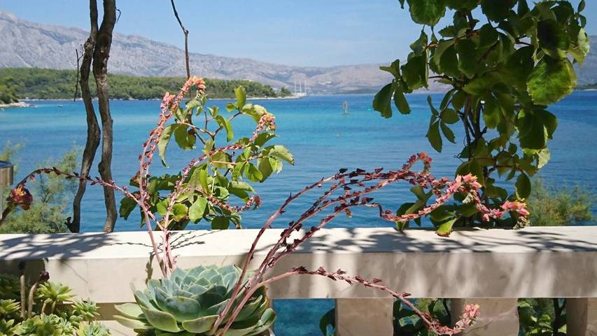 Maison d’hôte pour 8 personnes, avec jardin et vue en Korcula - 3