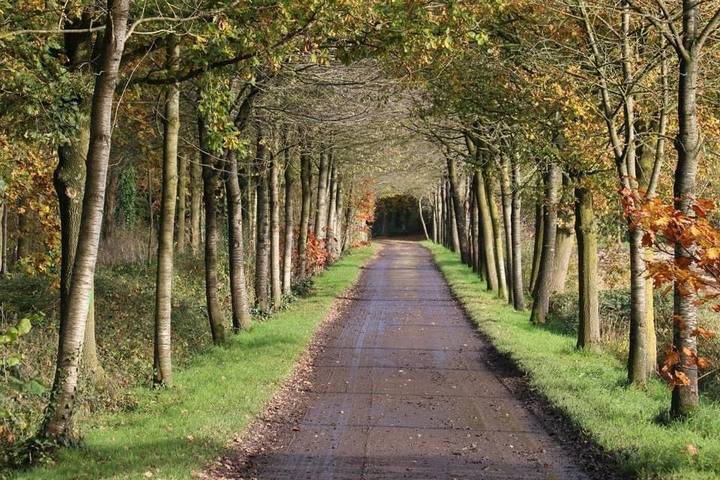 Location de vacances pour 12 personnes, avec jardin et vue, animaux acceptés à Torhout - 4